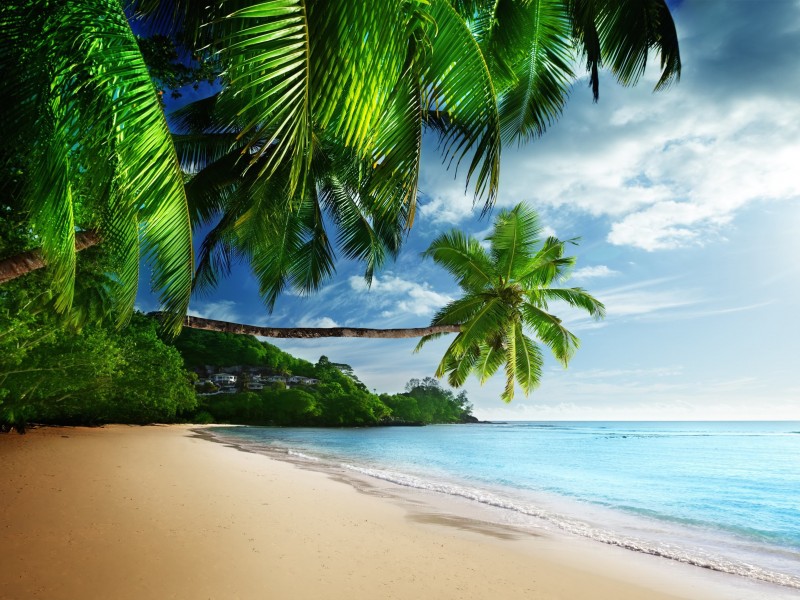 Download Tropical Paradise Beach HD wallpaper for 800 x 600 ...